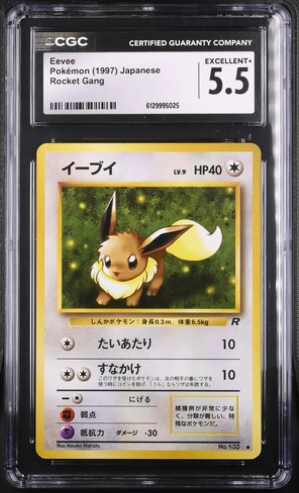 CGC 5.5 Evoli JP. 1997 ( ROG )